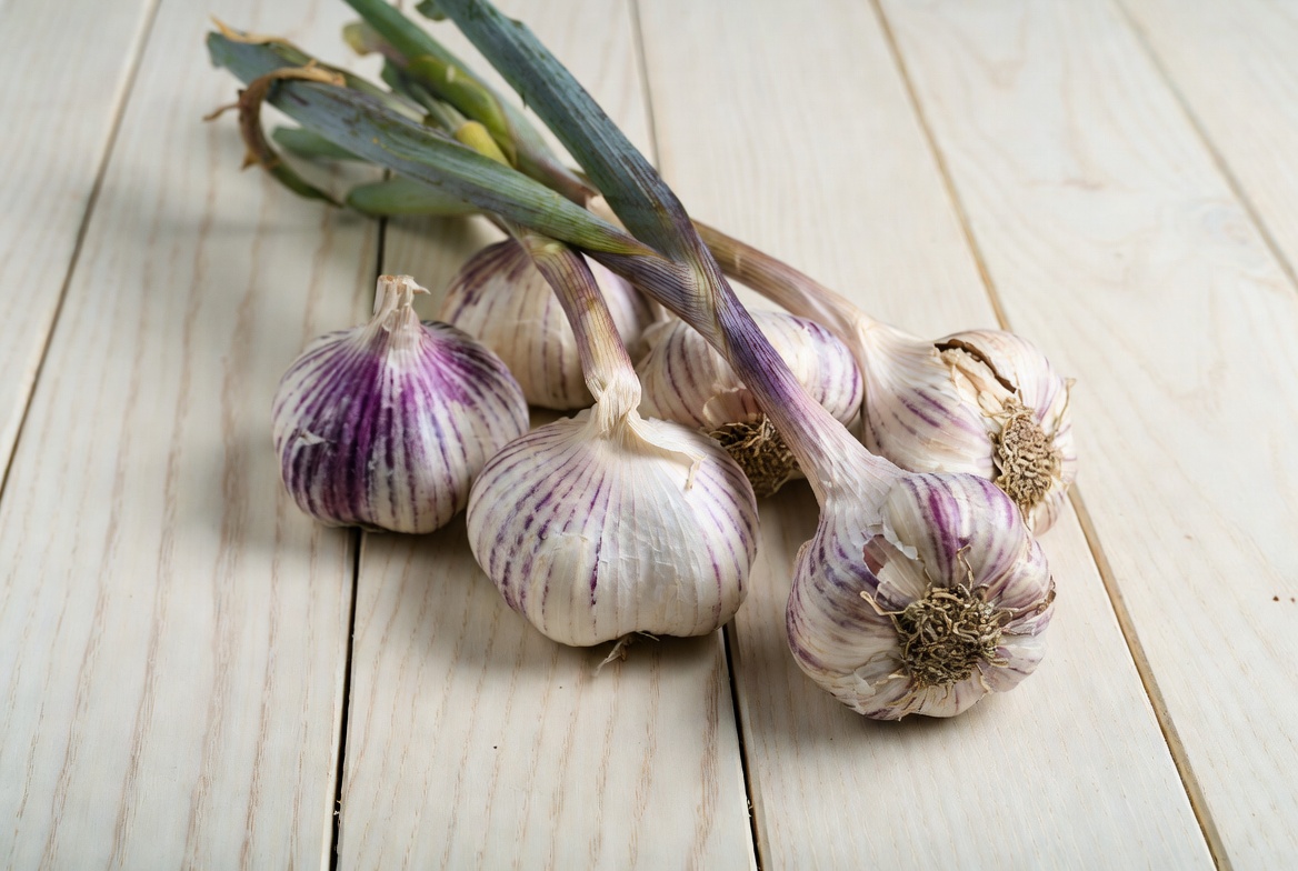 Hardneck garlic